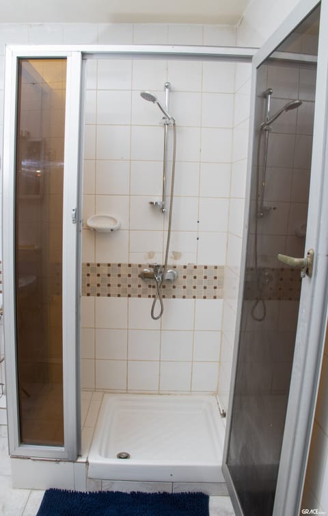 Combined shower/tub, bidet