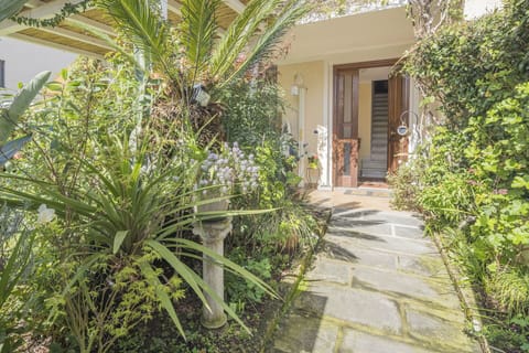 Autumn, Garden, Spring, Summer