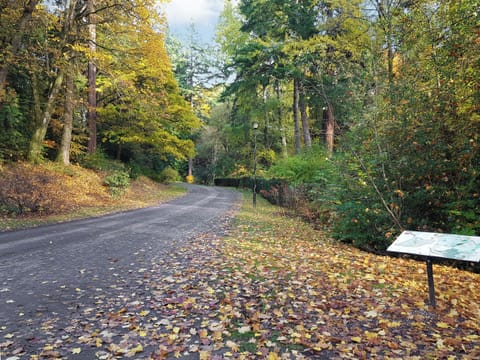 Surrounding area | Family Lodge No.3 - Atholl Palace Holidays, Pitlochry