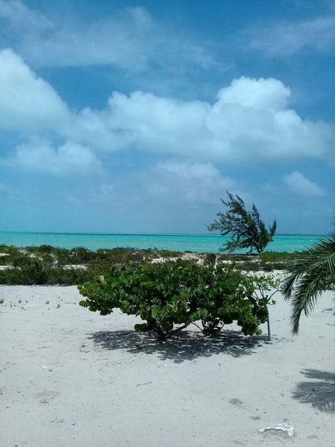 On the beach