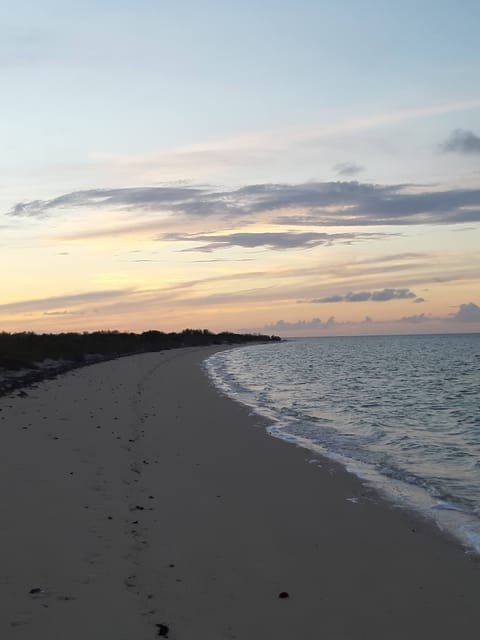 On the beach