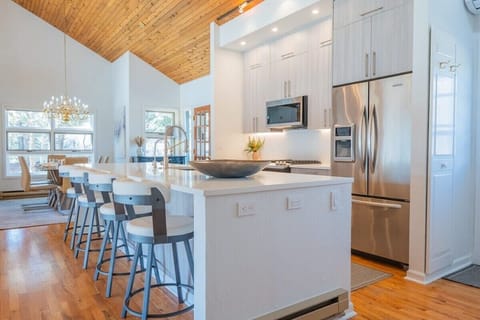 Newly renovated kitchen with waterfall countertop island and stainless appliances