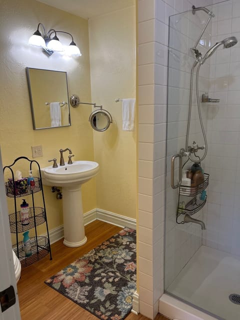 Shower, jetted tub, hair dryer, towels