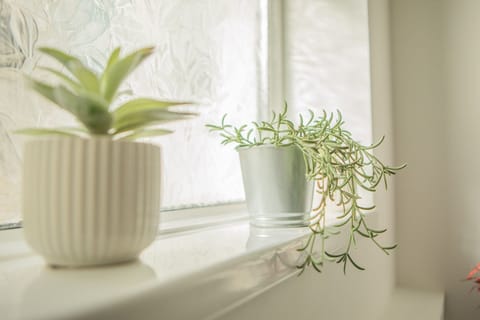 77877b51-8eb5-4457-aeab-5d8af8072f5e