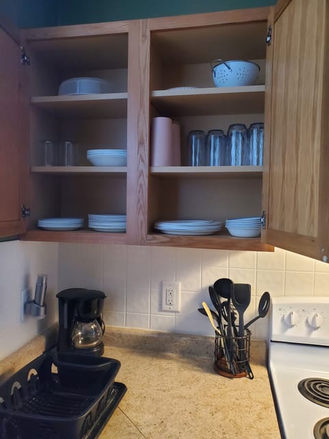 Fridge, oven, stovetop, cookware/dishes/utensils