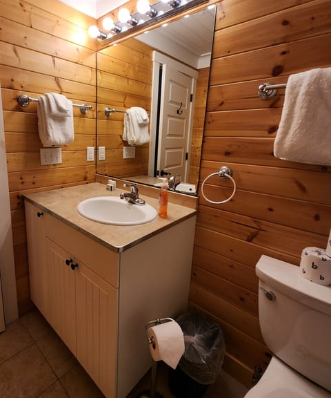 Combined shower/tub, hair dryer, towels, soap