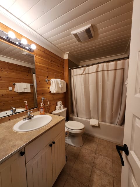 Combined shower/tub, hair dryer, towels, soap