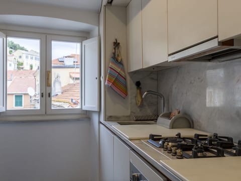 Tap, Kitchen Sink, Cabinetry, Property, Plumbing Fixture, Countertop, Window, Gas Stove, Sink, Kitchen Stove