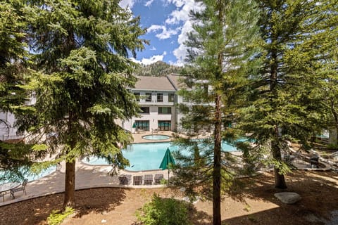 9-web-or-mls-PTL 207-49