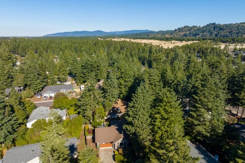 Drone view of the dunes from home
