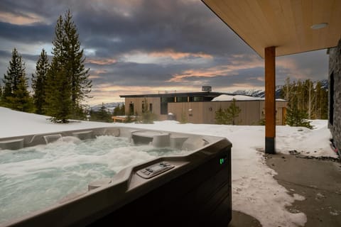 Hot Tub, Tub, Tree, Fir, Outdoors