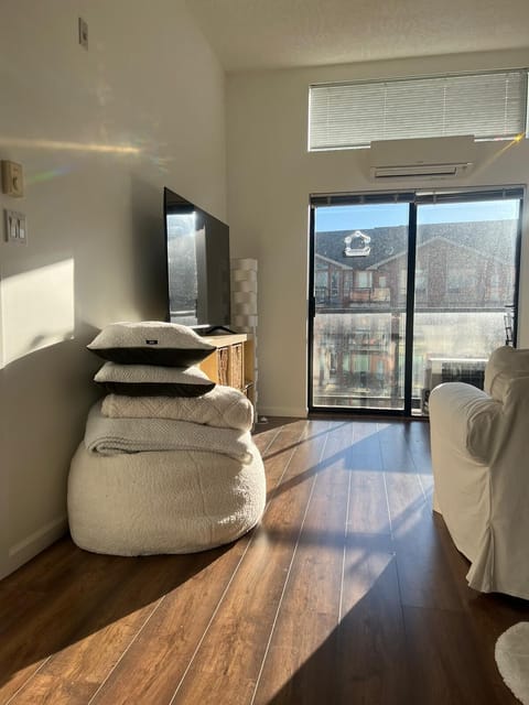 Living room with massive windows and unlimited sunshine