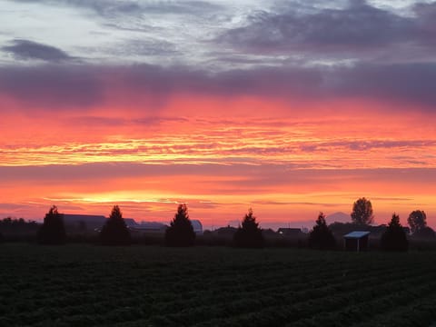 Our sunrises are exceptional