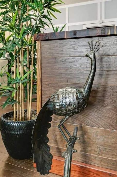 We look for fun accent pieces to enhance your space