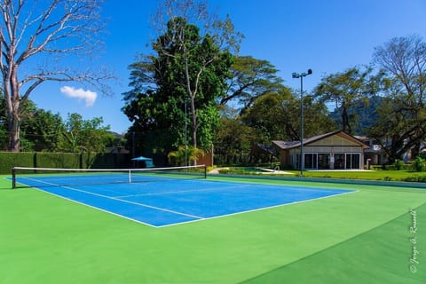 Sport court