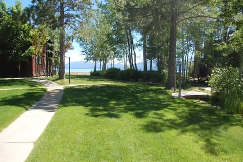 Lakeside Grassy landscaped area