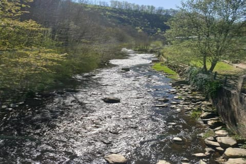 Region [summer] (>5 km)