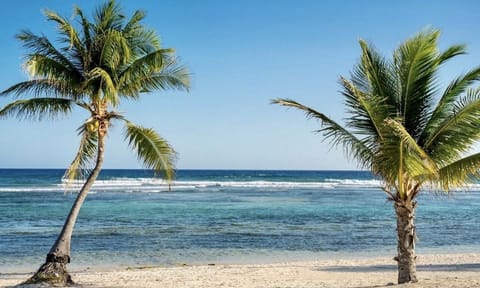 On the beach, sun loungers, beach towels