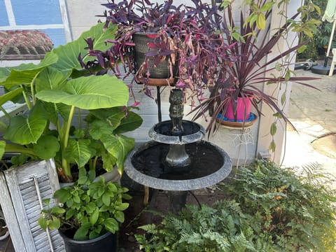 courtyard by back door