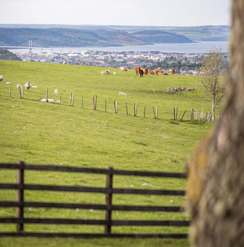 Views of Inverness & the Moray Firth