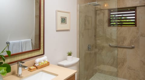 Shower, eco-friendly toiletries, hair dryer, towels