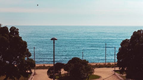 Beach/ocean view