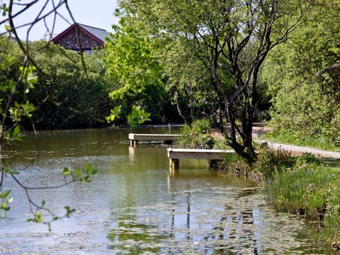 Surrounding area | Beech Lodge - Retallack, St Columb