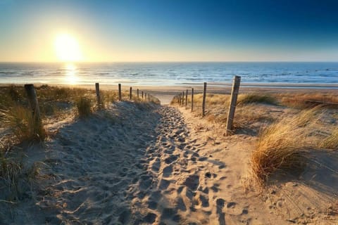 On the beach