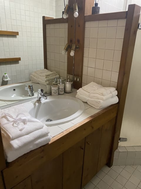 Bathtub, hair dryer, bidet, towels
