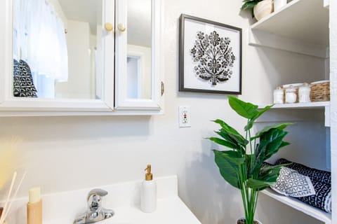 Bathroom Sink and Cabinet.