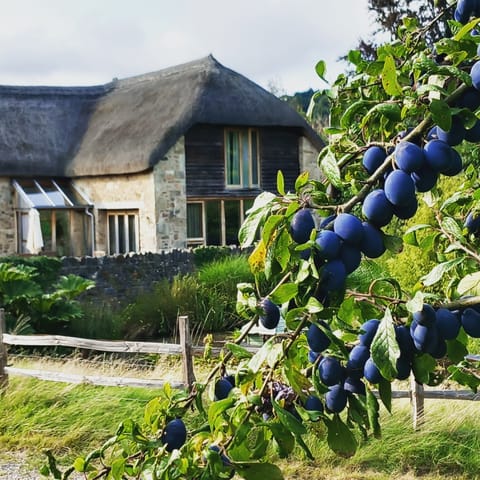 In seasons gorgeous plums, apples, pears and other fruit are shared with guests