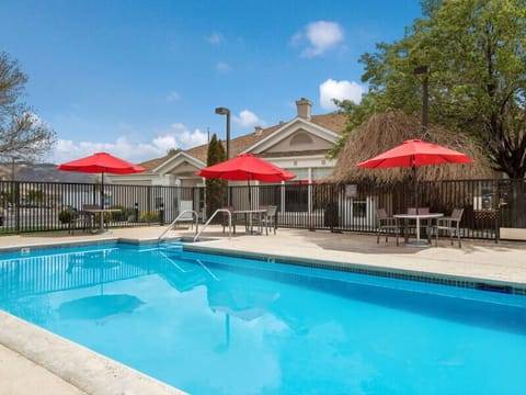 Dive into sun-soaked relaxation at the sparkling outdoor pool.