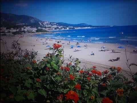 Sun loungers, beach towels