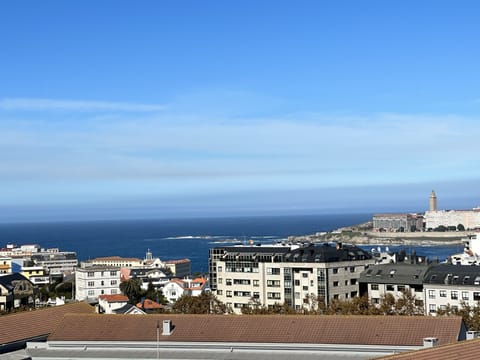 Beach/ocean view