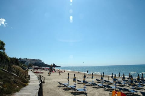 On the beach