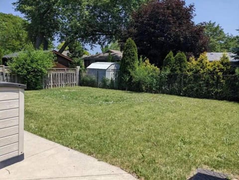 Backyard - full fenced