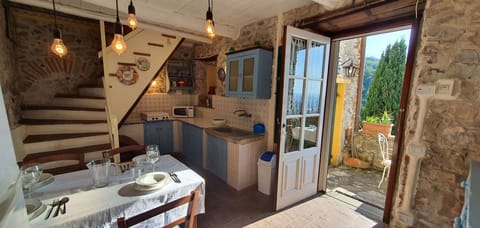 Property, Plant, Table, Wood, Lighting, Interior Design, Window, Floor, Chair, Living Room