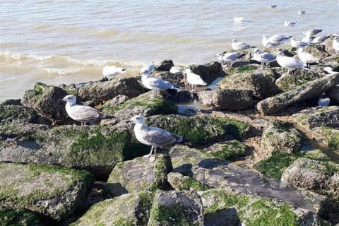 Immediate Surroundings [summer] (<1 km)