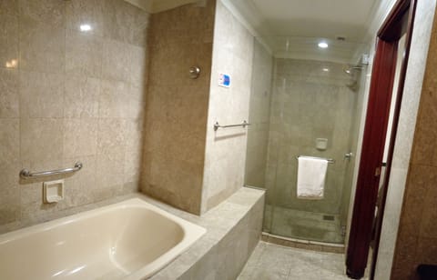 Combined shower/tub, hair dryer, bidet, towels