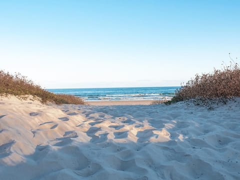 On the beach, sun loungers, beach towels