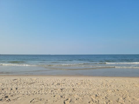 Sun loungers, beach towels