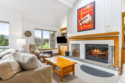 TV, fireplace, books