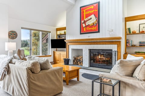 TV, fireplace, books