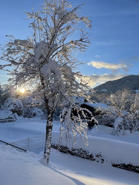 Snow and ski sports