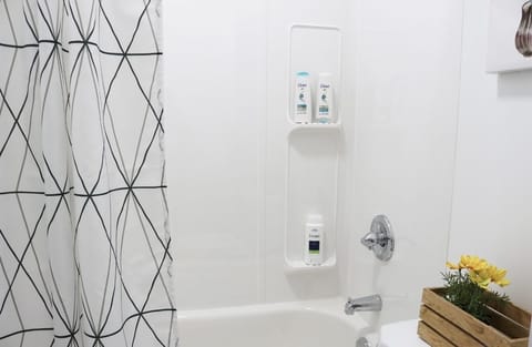 Combined shower/tub, hair dryer, towels, soap