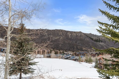 Fir, Tree, Nature, Outdoors, Scenery