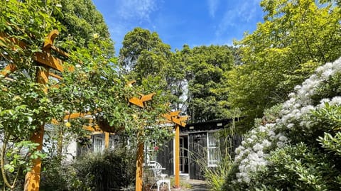 Amazing Flowers in Summer