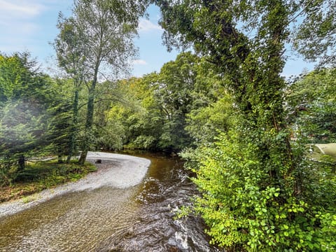 Surrounding area | The Beehive C29 - Garth Holiday Park, Machynlleth