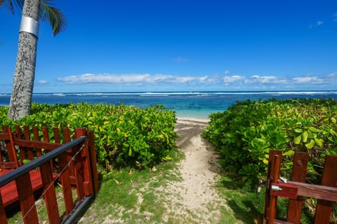 Sun loungers, beach towels