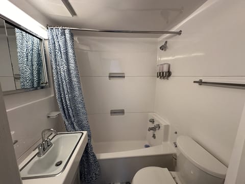 Combined shower/tub, hair dryer, towels, soap